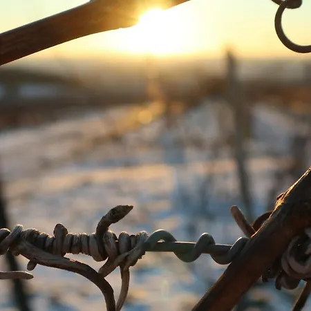 Charmante 100 Qm * Groß-Umstadt