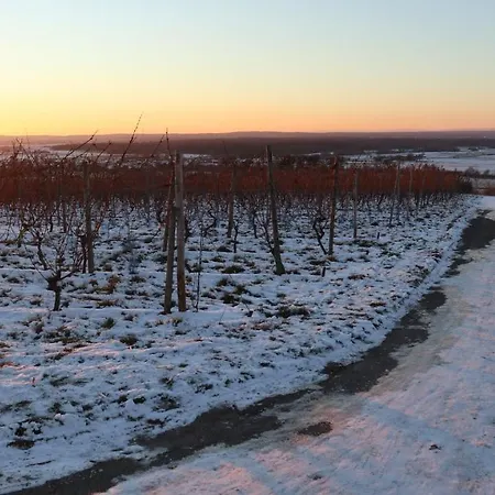 Charmante 100 Qm شقة Groß-Umstadt