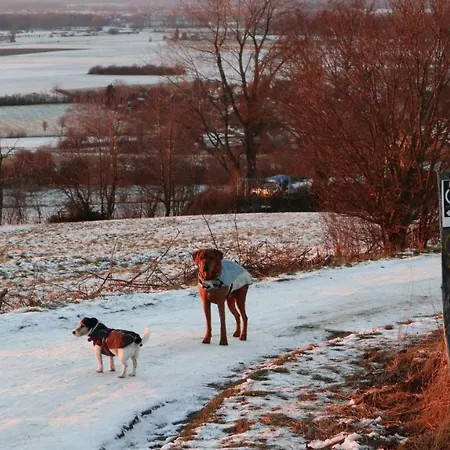 شقة Charmante 100 Qm *