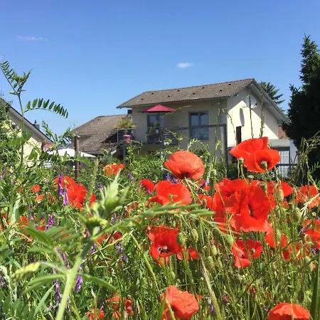 Charmante 100 Qm شقة Groß-Umstadt