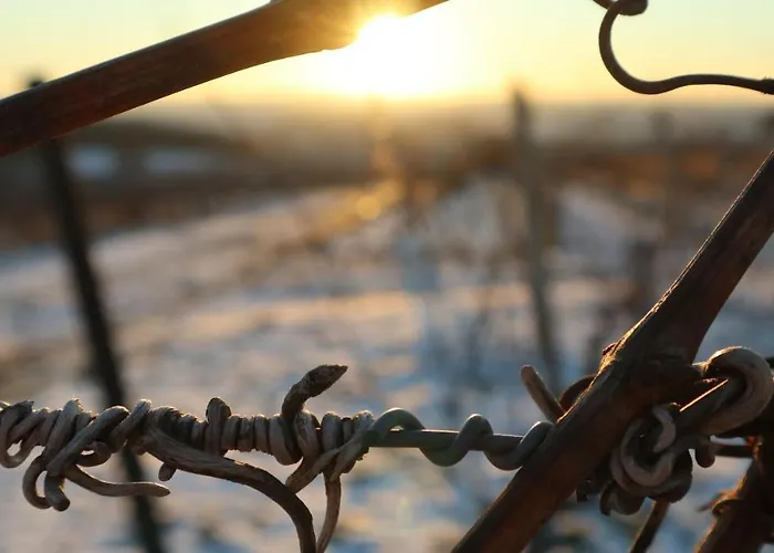 Charmante 100 Qm * Groß-Umstadt