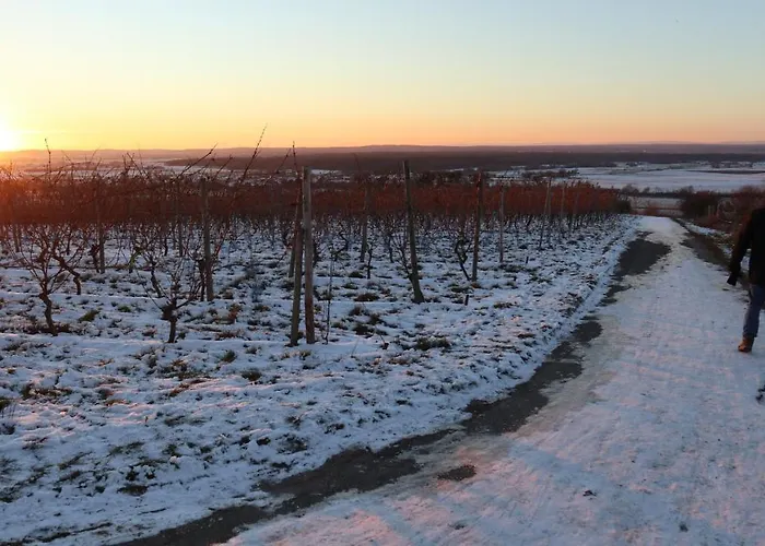 Charmante 100 Qm Appartamento Groß-Umstadt