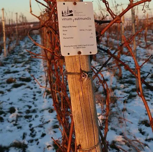 Charmante 100 Qm Groß-Umstadt