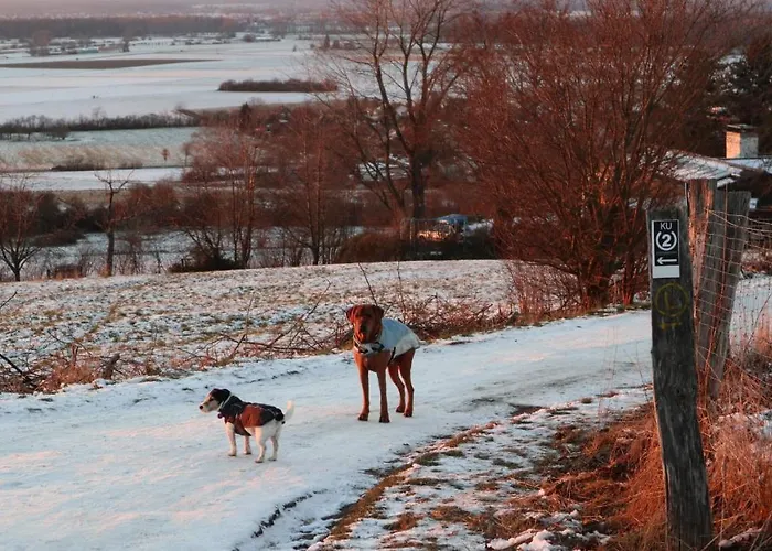 Appartamento Charmante 100 Qm *