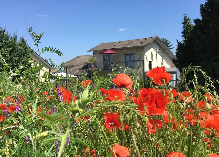 Charmante 100 Qm Appartamento Groß-Umstadt